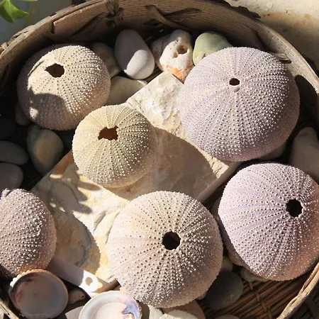 By The Sea Preko, Ugljan - 8384 アパート プレコ