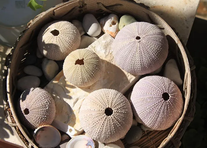 By The Sea Preko, Ugljan - 8384 Apartment Preko